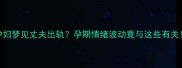 孕妇梦见丈夫出轨孕期情绪波动竟与这些有关