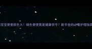 宝宝便便颜色大绿色便便竟是健康信号新手爸妈必看护理指南