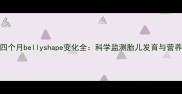 孕期四个月bellyshape变化全科学监测胎儿发育与营养指南