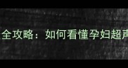 胎儿发育关键期超声检查全攻略如何看懂孕妇超声报告单里的专业术语