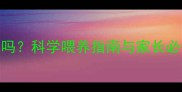 四个月宝宝能吃桃吗科学喂养指南与家长必知的5大注意事项