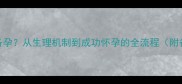男女如何科学备孕从生理机制到成功怀孕的全流程附备孕注意事项