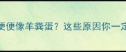 8个月宝宝便便像羊粪蛋这些原因你一定要知道