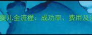 泰国试管婴儿全流程成功率费用及注意事项
