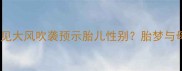 科学解读孕妇梦见大风吹袭预示胎儿性别胎梦与母婴健康全指南