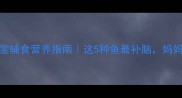 0-6岁宝宝辅食营养指南这5种鱼最补脑妈妈必看