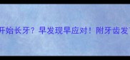 4个月宝宝开始长牙早发现早应对附牙齿发育全攻略