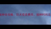宝宝疫苗接种全攻略狂犬疫苗费用接种时间及注意事项