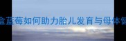 孕期营养新标准每天一盒蓝莓如何助力胎儿发育与母体健康科学验证的5大功效