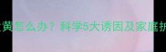 宝宝头发发黄怎么办科学5大诱因及家庭护理全攻略