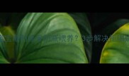 如何让宝宝顺利接受奶瓶喂养3步解决拒喝奶瓶难题