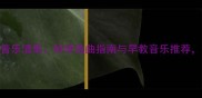 0-1个月宝宝必听音乐清单科学选曲指南与早教音乐推荐促进发育黄金期