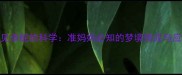 孕妇梦见杀蛇的科学准妈妈必知的梦境预兆与应对指南