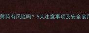 孕妇吃薄荷有风险吗5大注意事项及安全食用指南
