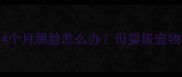 秋田犬幼犬4个月黑脸怎么办母婴级宠物护理方案全