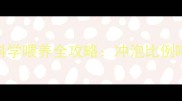 新手妈妈必看婴儿奶粉科学喂养全攻略冲泡比例喂养时间禁忌事项大公开