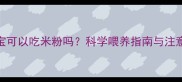3个月宝宝可以吃米粉吗科学喂养指南与注意事项全