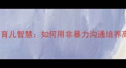 村上里沙的育儿智慧如何用非暴力沟通培养高情商宝宝