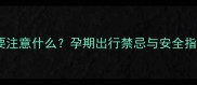 孕妇乘坐网约车需要注意什么孕期出行禁忌与安全指南附避雷攻略