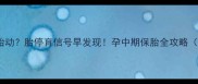 五个月突然没胎动胎停育信号早发现孕中期保胎全攻略附胎动自检法