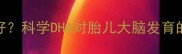 孕妇DHA什么时候吃最好科学DHA对胎儿大脑发育的影响及正确补充方法