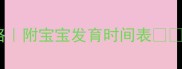 试管婴儿孕周计算全攻略附宝宝发育时间表从取卵到分娩的详细指南