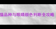 新手妈妈必看幼猫品种与眼睛颜色判断全攻略附发育时间表