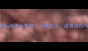 3个月宝宝抬头训练全攻略正确方法发育指标与注意事项