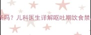 宝宝呕吐后能吃薯条吗儿科医生详解呕吐期饮食禁忌与营养补充方案