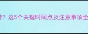 产后多久适合旅游这5个关键时间点及注意事项全附权威指南