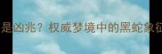 孕妇梦到黑蛇是吉兆还是凶兆权威梦境中的黑蛇象征意义及科学应对方法