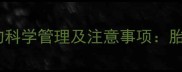 怀孕第九个月体重增长的科学管理及注意事项胎儿发育与孕妈健康指南