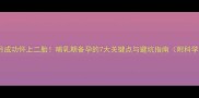 产后3个月成功怀上二胎哺乳期备孕的7大关键点与避坑指南附科学时间表