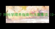 宝宝几个月可以喂米汤附科学喂养指南与注意事项0-3岁辅食添加全攻略