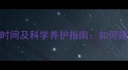 满三个月宝宝睡眠时间及科学养护指南如何建立良好睡眠规律