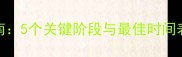 孕妇科学补充叶酸全指南5个关键阶段与最佳时间表附每日剂量对照表