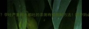 吐到怀疑人生孕吐严重喝水都吐的亲测有效缓解方法附孕妈必看饮食清单