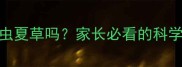 小孩能吃冬虫夏草吗家长必看的科学与替代方案