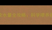 2个月宝宝每日饮水量全攻略科学喂养指南与常见误区