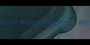 孕期耳痛怎么办专家教你科学缓解方法保护宝宝健康