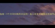 孕期避坑指南9个月孕妇慎用杀虫剂胎儿发育关键期这些细节必须知道