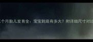 孕三个月胎儿发育全宝宝到底有多大附详细尺寸对比图