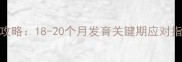 1岁1个月宝宝敏感期全攻略18-20个月发育关键期应对指南附科学育儿方案