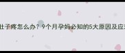 孕晚期肚子疼怎么办9个月孕妈必知的5大原因及应对指南