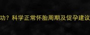 备孕三个月未成功科学正常怀胎周期及促孕建议附详细指南