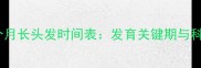 胎宝宝0-12个月长头发时间表发育关键期与科学养护指南