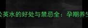孕妇喝蒲公英水的好处与禁忌全孕期养生必备指南