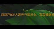 孕期必吃西葫芦的5大营养与禁忌全宝宝健康发育有保障