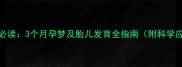 孕期健康必读3个月孕梦及胎儿发育全指南附科学应对方案