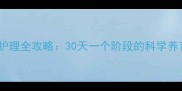 新生儿护理全攻略30天一个阶段的科学养育指南